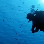 Dive Tech and Sports Inc