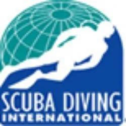 Dynamite Divers