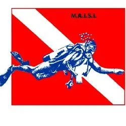 Massachusetts Association ofIndependent Scuba Instructors, LLC