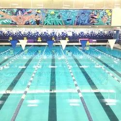 Rey Diving